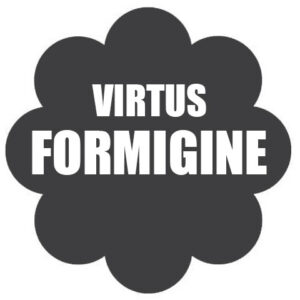 VIRTUS FORMIGINE
